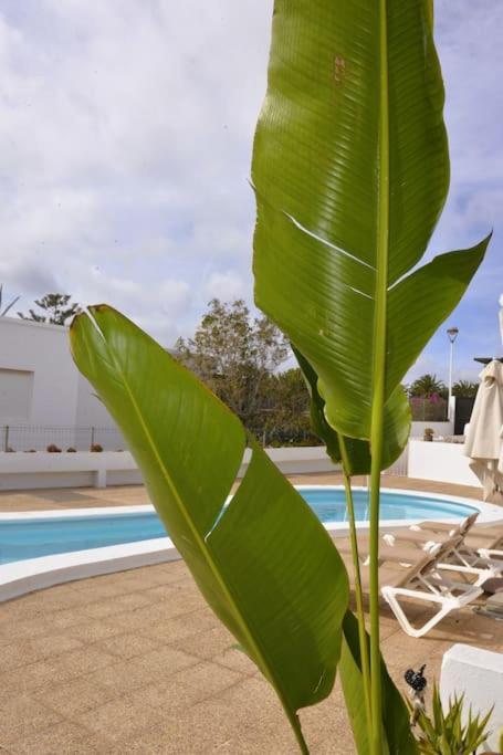 Apartamento Lapa Tías Esterno foto